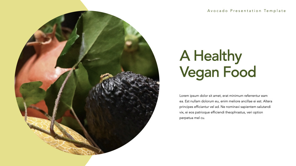 牛油果 主题演讲幻灯片_03