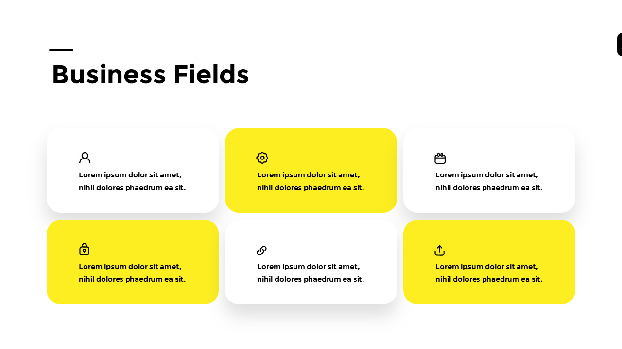 Business Fields PageModelSingle Slides