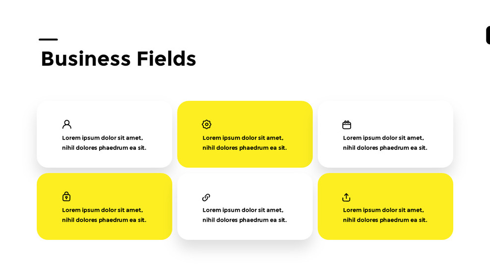 Business Fields PageModelSingle Slides