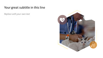 동물 의료 슬라이드 프레젠테이션_26