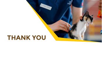 동물 의료 슬라이드 프레젠테이션_27