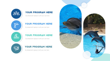 海豚 PowerPoint模板用于演示_09