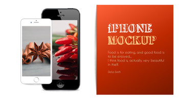 향신료와 조미료 파워포인트_30