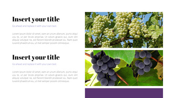 Vignoble Conception de modèles PowerPoint_04