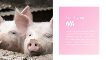 豚の年 パワーポイント_07