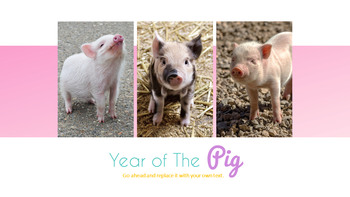 豚の年 パワーポイント_12