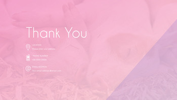 豚の年 パワーポイント_60