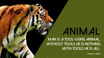 Animal - PPT Slides_05