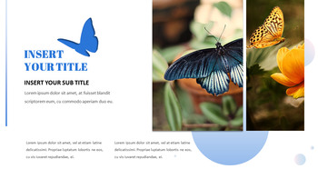 나비 슬라이드 프레젠테이션_08