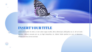 나비 슬라이드 프레젠테이션_11