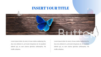 나비 슬라이드 프레젠테이션_20