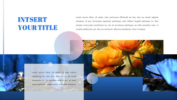 나비 슬라이드 프레젠테이션_22