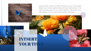 나비 슬라이드 프레젠테이션_23