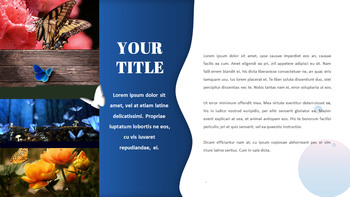 나비 슬라이드 프레젠테이션_30