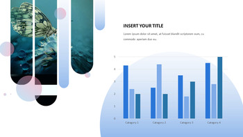 나비 슬라이드 프레젠테이션_37