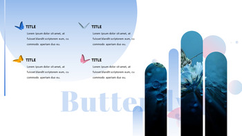 나비 슬라이드 프레젠테이션_38