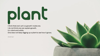 Planta_05