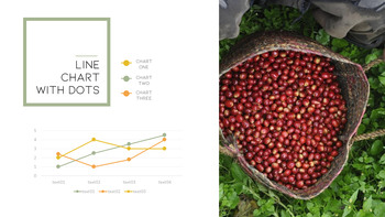 커피 산업 슬라이드 프레젠테이션_34