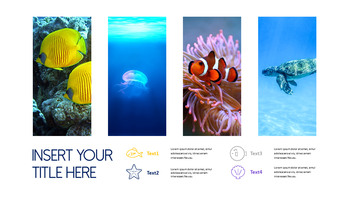 Underwater World Theme Templates_06