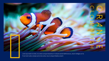 Underwater World Theme Templates_09