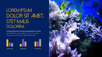 Underwater World Theme Templates_12