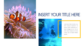 Underwater World Theme Templates_15