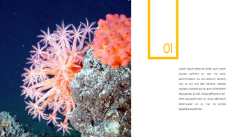 Underwater World Theme Templates_17