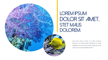 Underwater World Theme Templates_20