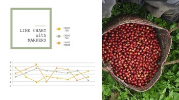 Coffee Industry Google Slides Presentation Templates_34