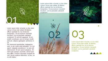 Eco Friendly Life Google Slides Templates_30