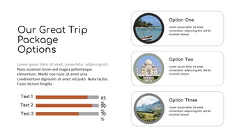 旅行会社 プレゼンテーション用Googleスライドのテーマ_20