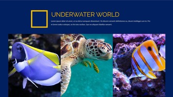 Underwater World Google Slides Templates_04