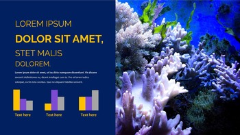 Underwater World Google Slides Templates_12