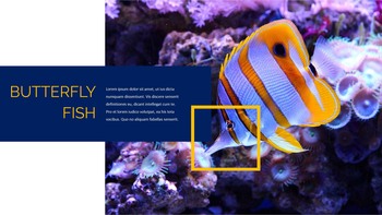 Underwater World Google Slides Templates_14