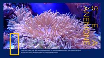 Underwater World Google Slides Templates_16