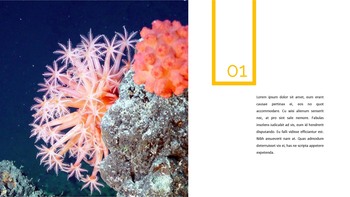 Underwater World Google Slides Templates_17