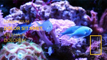 Underwater World Google Slides Templates_19