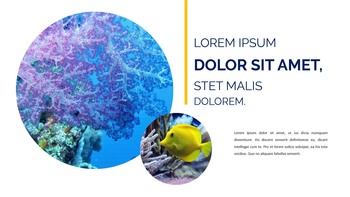 Underwater World Google Slides Templates_20