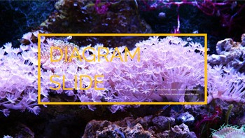 Underwater World Google Slides Templates_28