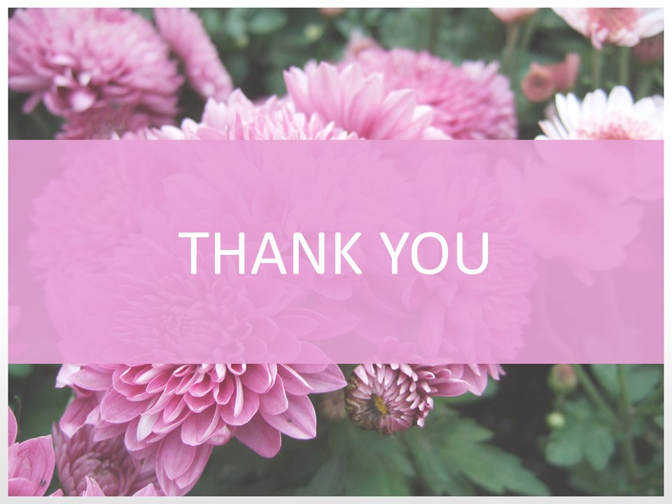 Chrysanthemum - Free Design Template