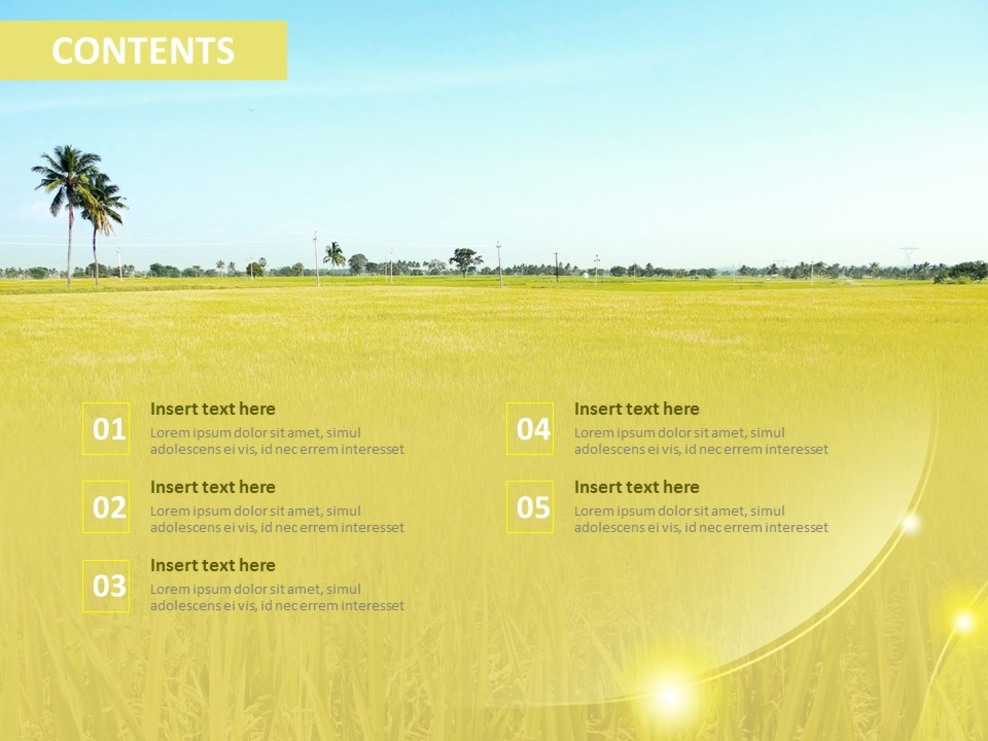 free-powerpoint-template-ripening-rice-on-the-field