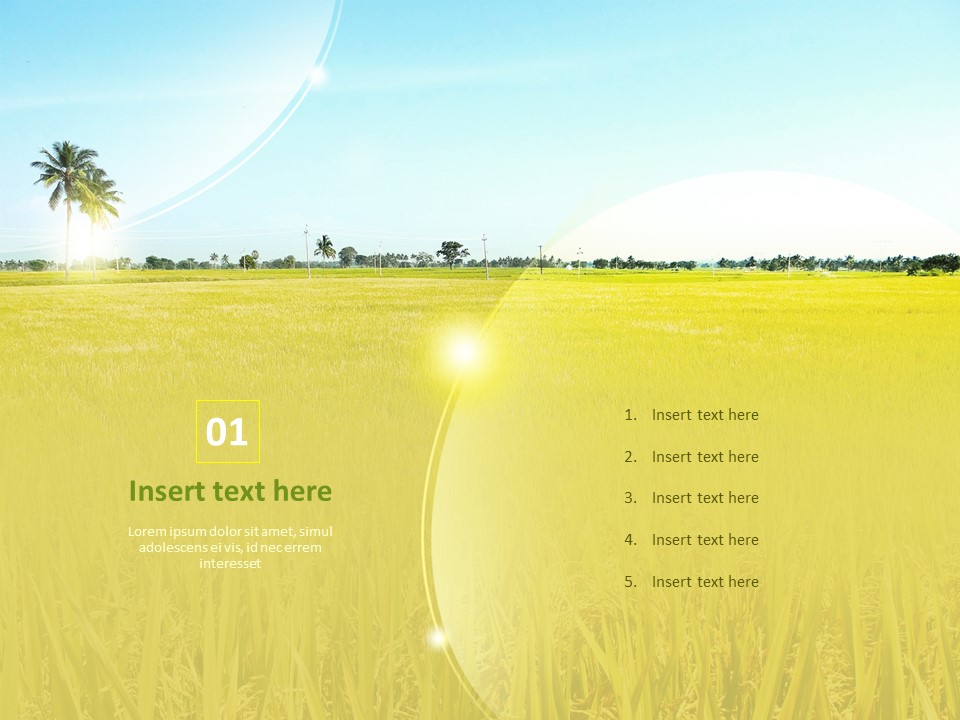 免费PowerPoint模板 - 田间水稻成熟_03