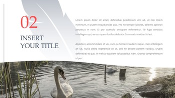 Swan Simple Google Templates_04