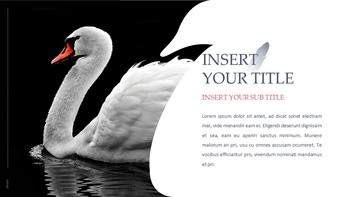 Swan Simple Google Templates_07