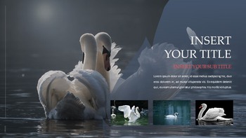 Swan Simple Google Templates_14