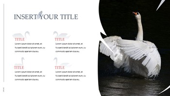 Swan Simple Google Templates_15