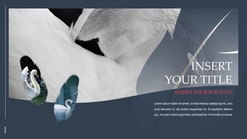 Swan Simple Google Templates_19