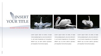 Swan Simple Google Templates_21