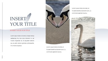 Swan Simple Google Templates_31