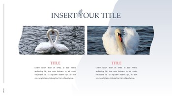 Swan Simple Google Templates_35